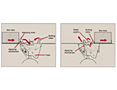 AccuGlide™ II STD Taping Head-2